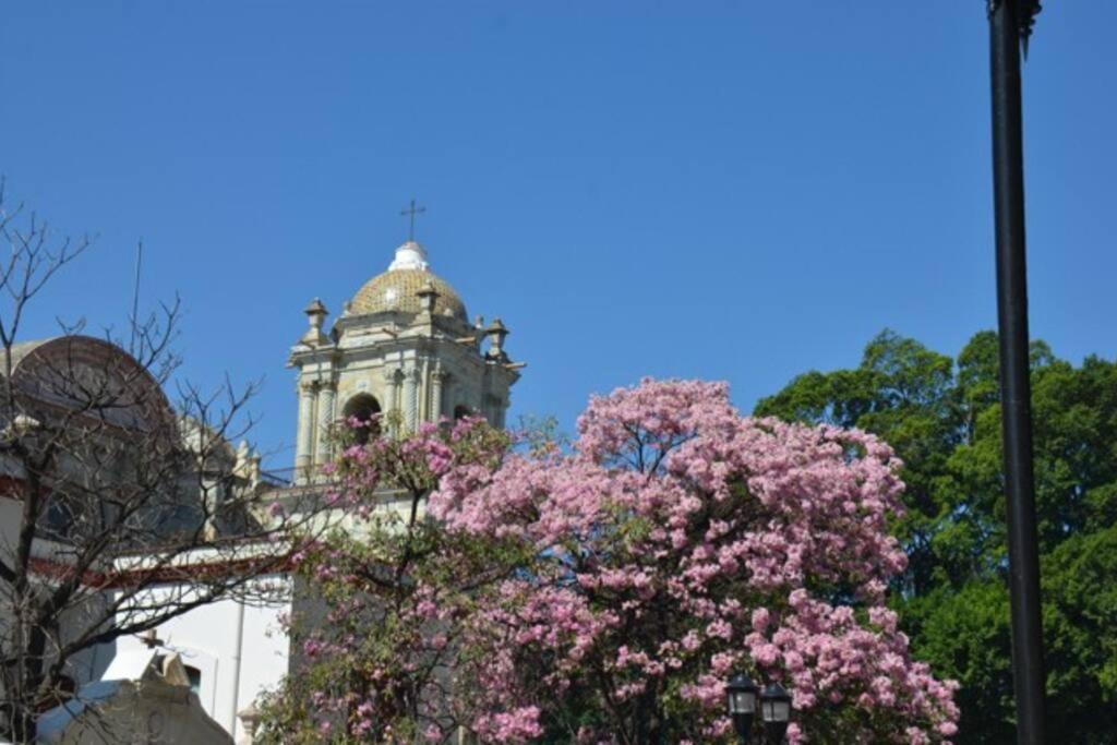 M1010 - The Best Place To Enjoy Oaxaca Ngoại thất bức ảnh